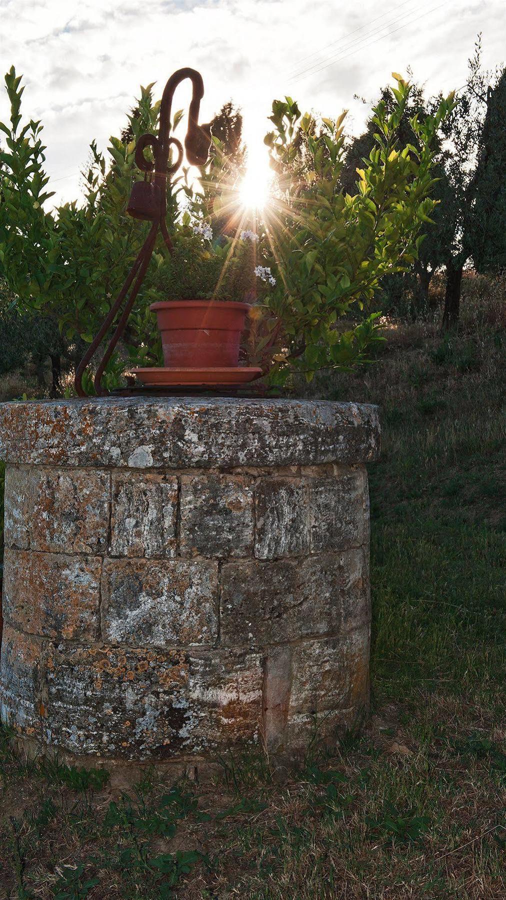 Agriturismo La Buca Di Bellugi San Quirico d'Orcia Exterior photo
